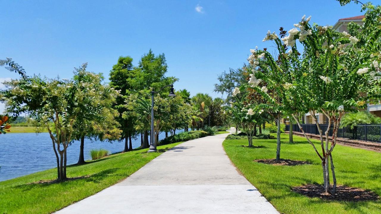 Universal Palms كيسيمي المظهر الخارجي الصورة